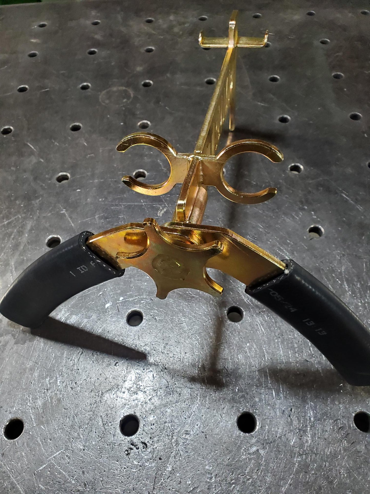 Golden Arm Grasshopper